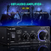 HiFi стерео усилвател 2-канален 100W, клас AB -  -  - nextbg.com