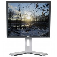 DELL 1907FP V2 А клас