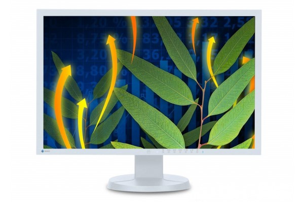 Eizo EV2436W А клас - Монитори - 280084887 - nextbg.com